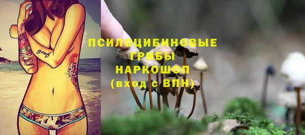 дмт Алексеевка