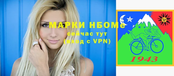 хмурый Алексин