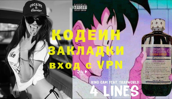 хмурый Алексин