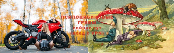 дмт Алексеевка