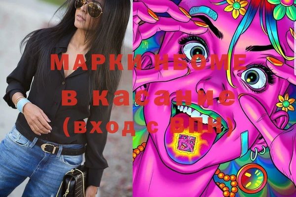 хмурый Алексин