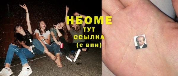 хмурый Алексин