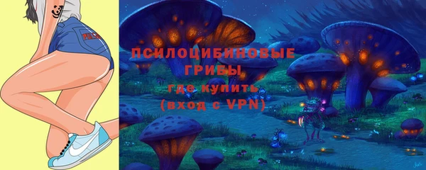 дмт Алексеевка
